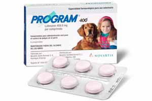 Mejores 5 pastillas para pulgas