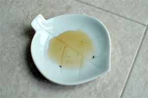 Trampas para pulgas